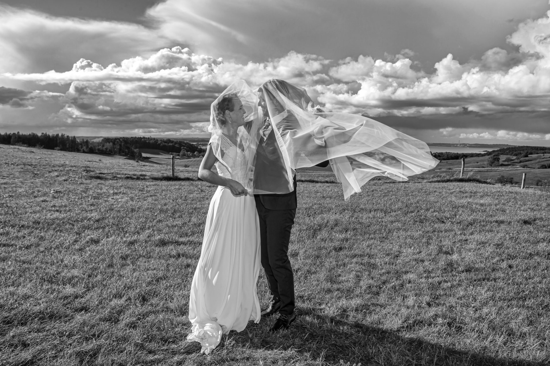 Brudepar i dansk marklandskab